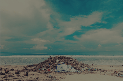 Ocean Pollution